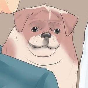wikihow