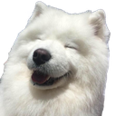 Floofer